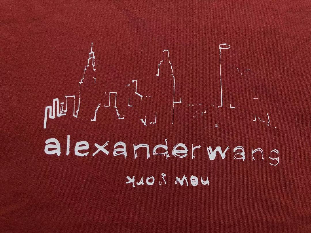 Alexander Wang 115 A⭐⭐X⭐⭐⭐ER W⭐⭐G T-SHIRT 5241641147 (Im 170Cm 60Kg I Wear Size M In The Phot) - Image 16