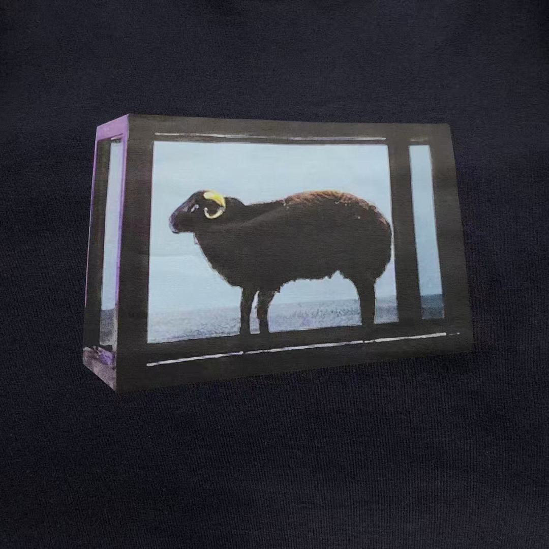 Supreme 95 S⭐⭐R⭐⭐E T-SHIRT 123122002 (Im 170Cm 60Kg I Wear Size M In The Phot) - Image 18