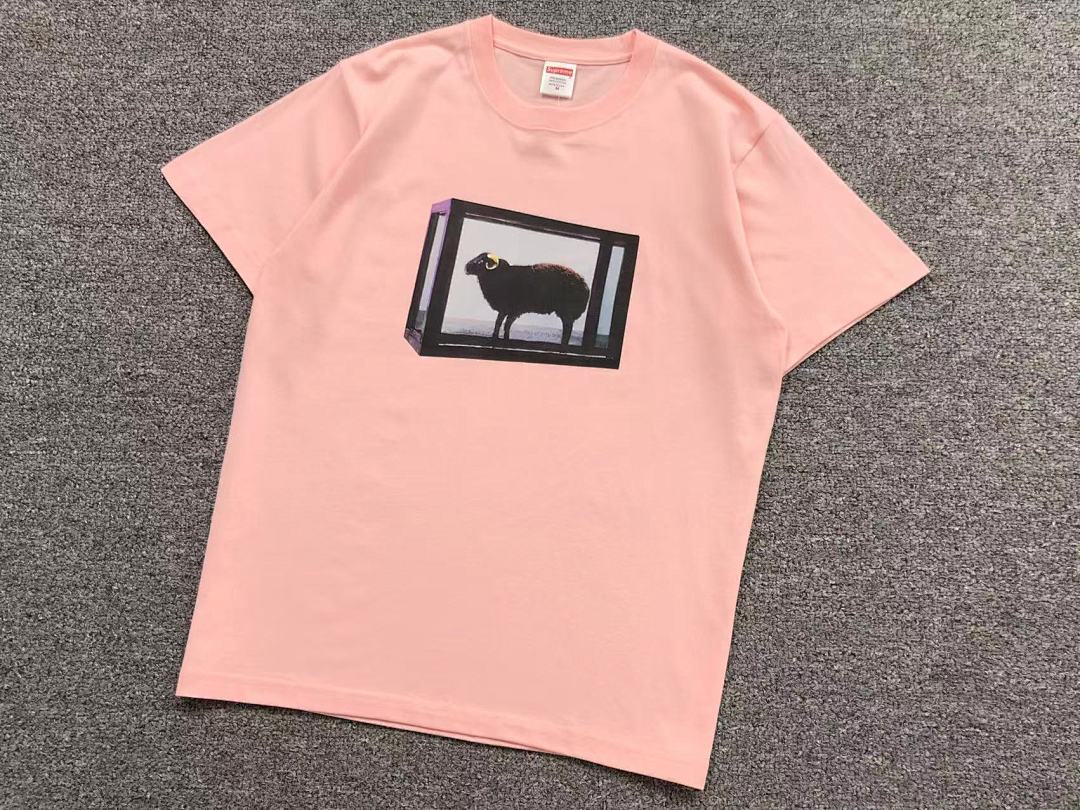Supreme 95 S⭐⭐R⭐⭐E T-SHIRT 123122002 (Im 170Cm 60Kg I Wear Size M In The Phot) - Image 13