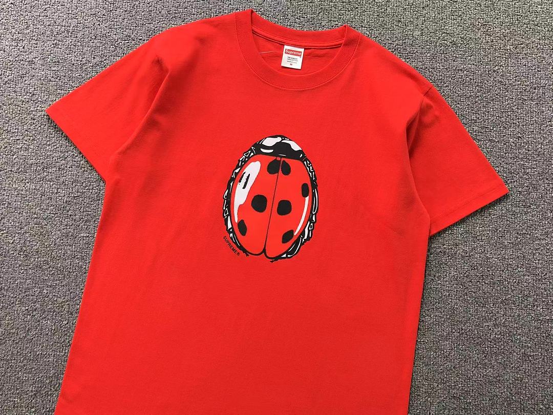 Supreme 98 S⭐⭐R⭐⭐E T-SHIRT 4207211302 (Im 170Cm 60Kg I Wear Size M In The Phot) - Image 11