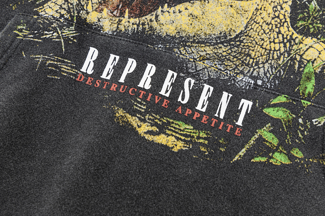 Represent 165 REPRESENT - Image 15