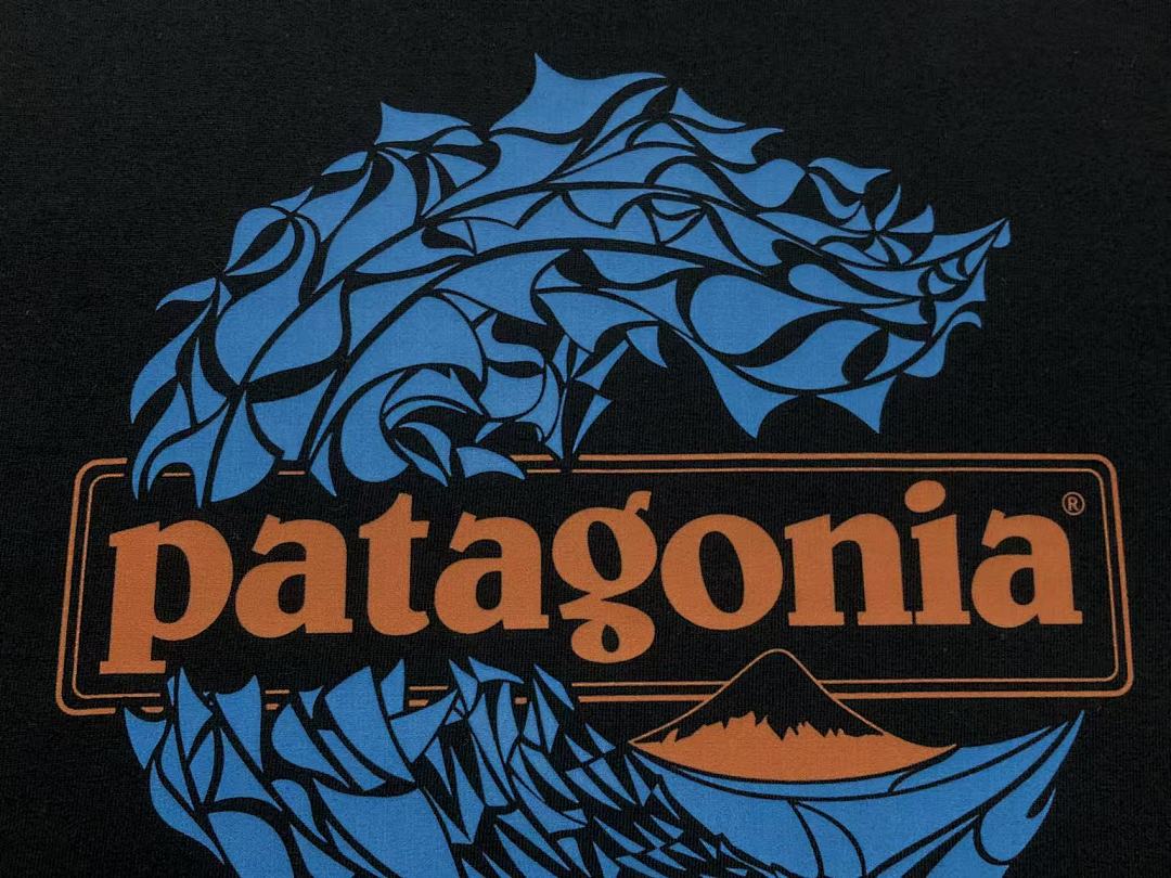 On Running 78 PATAGONIA T-SHIRT 123102802 (Im 170Cm 60Kg I Wear Size M In The Phot) - Image 14