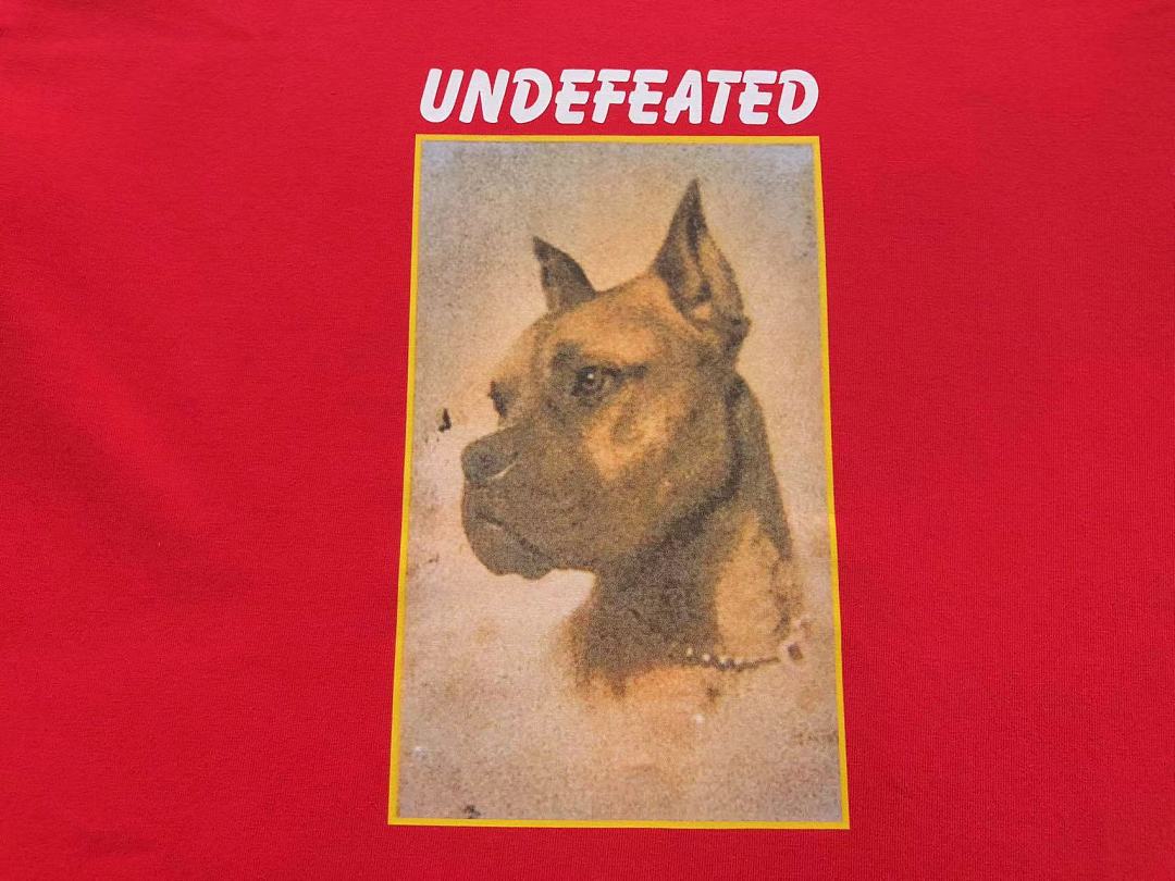 Undefeated 88 UNDEFEATED T-SHIRT 126173402 (Im 170Cm 60Kg I Wear Size M In The Phot) - Image 16