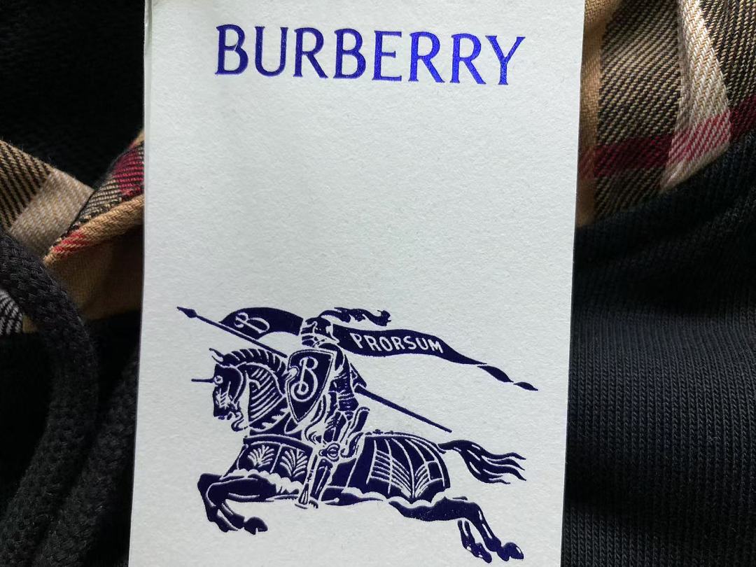 Burberry 208 B⭐R⭐E⭐RY HOODIE 3209070521 (Im 170Cm 60Kg I Wear Size L In The Phot) - Image 19