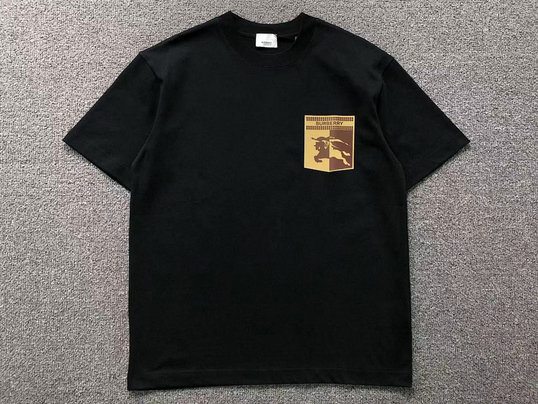 Burberry 115 B⭐R⭐E⭐RY T-SHIRT 3203243421 (Im 170Cm 60Kg I Wear Size M In The Phot) - Image 13