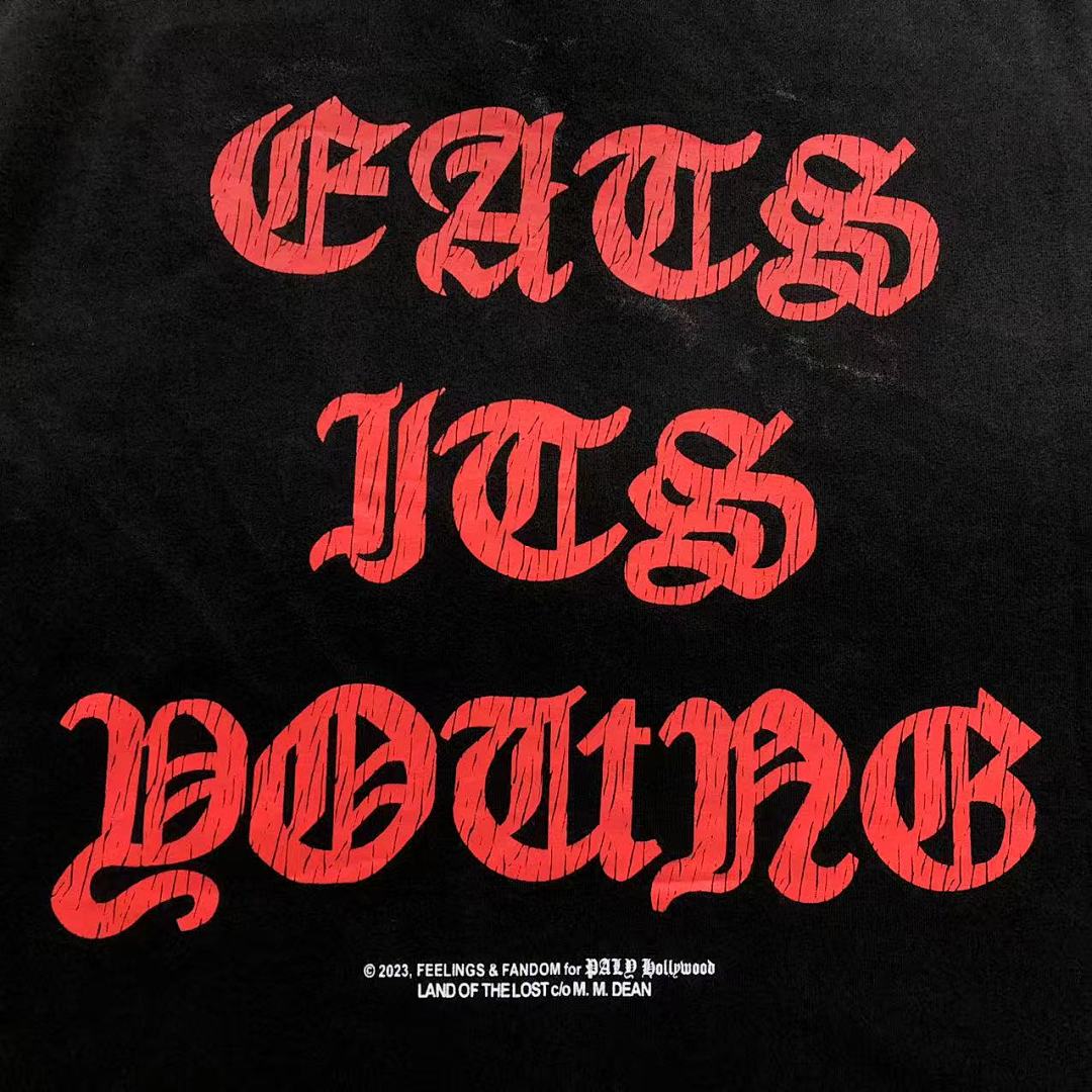 Unbranded 115 PA⭐Y H⭐LLYW⭐OD T-SHIRT 3204112217 (Im 170Cm 60Kg I Wear Size S In The Phot) - Image 13