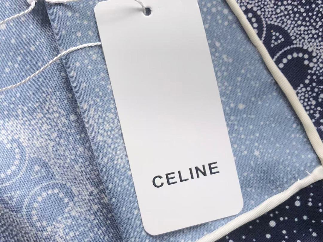 Celine 68 C⭐L⭐⭐E SCARF 2203168976 (Long 85CM* Wide - Image 12