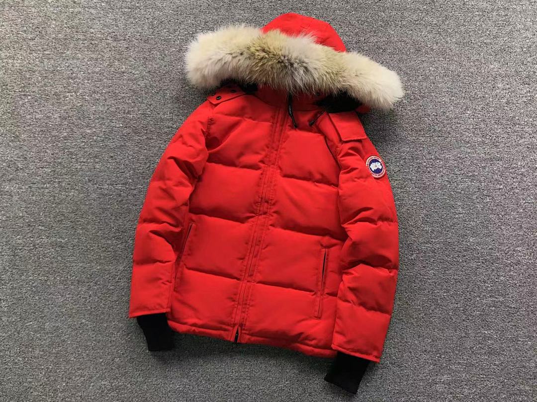 Canada Goose 558 C⭐N⭐⭐A G⭐⭐⭐E DOWN JACKETS 4111130315 (Im 170Cm 60Kg I Wear Size S In The Phot) - Image 18