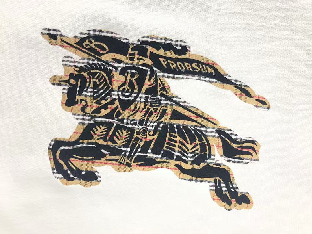 Burberry 165 B⭐R⭐E⭐RY HOODIE 5101704147 (Im 170Cm 60Kg I Wear Size M In The Phot) - Image 16