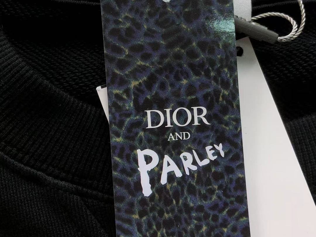Dior 178 D⭐O⭐ HOODIE 3208062321 (Im 170Cm 60Kg I Wear Size L In The Phot) - Image 20