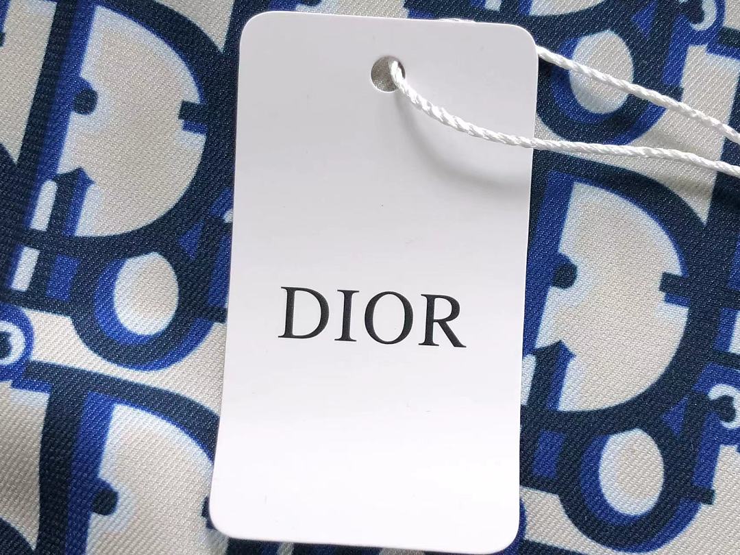 Dior 95 D⭐O⭐ SCARF 5262011102 (Long 90CM* Wide - Image 10