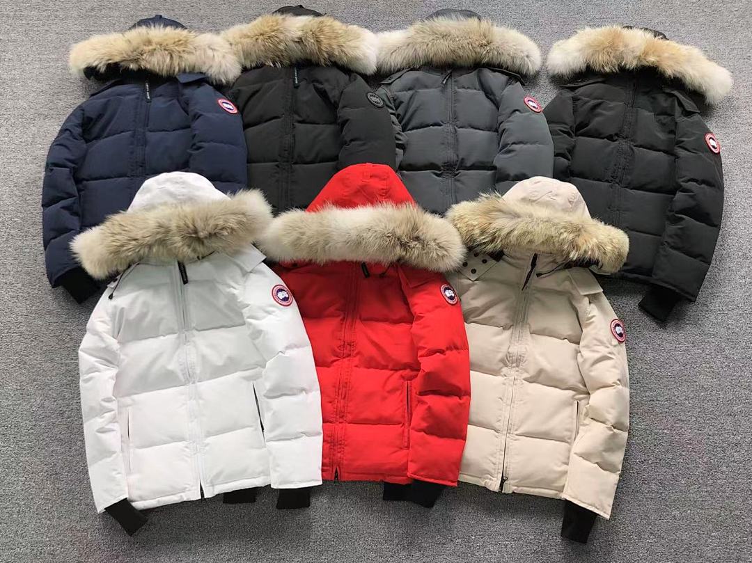 Canada Goose 558 C⭐N⭐⭐A G⭐⭐⭐E DOWN JACKETS 4111130315 (Im 170Cm 60Kg I Wear Size S In The Phot) - Image 7
