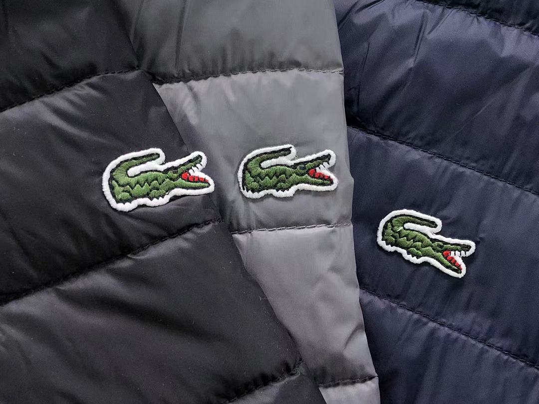 Lacoste 238 LACOSTE COTTON CIOTHES 22010606001 (Im 170Cm 60Kg I Wear Size L In The Phot) - Image 14