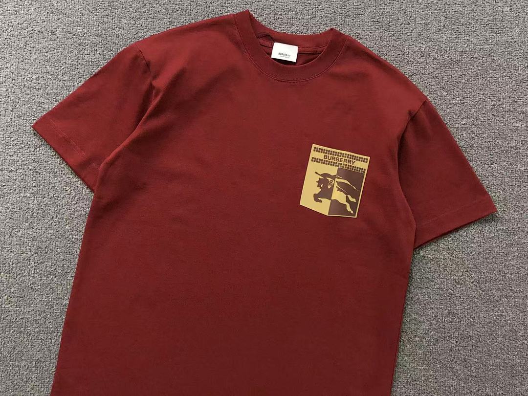 Burberry 115 B⭐R⭐E⭐RY T-SHIRT 3203243421 (Im 170Cm 60Kg I Wear Size M In The Phot) - Image 10