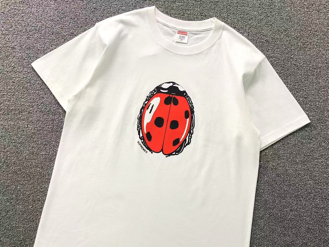 Supreme 98 S⭐⭐R⭐⭐E T-SHIRT 4207211302 (Im 170Cm 60Kg I Wear Size M In The Phot) - Image 8