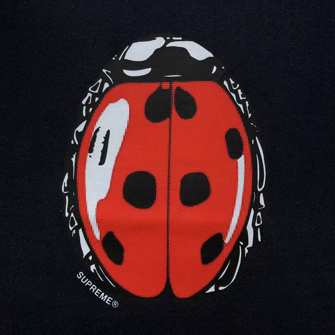 Supreme 98 S⭐⭐R⭐⭐E T-SHIRT 4207211302 (Im 170Cm 60Kg I Wear Size M In The Phot) - Image 21