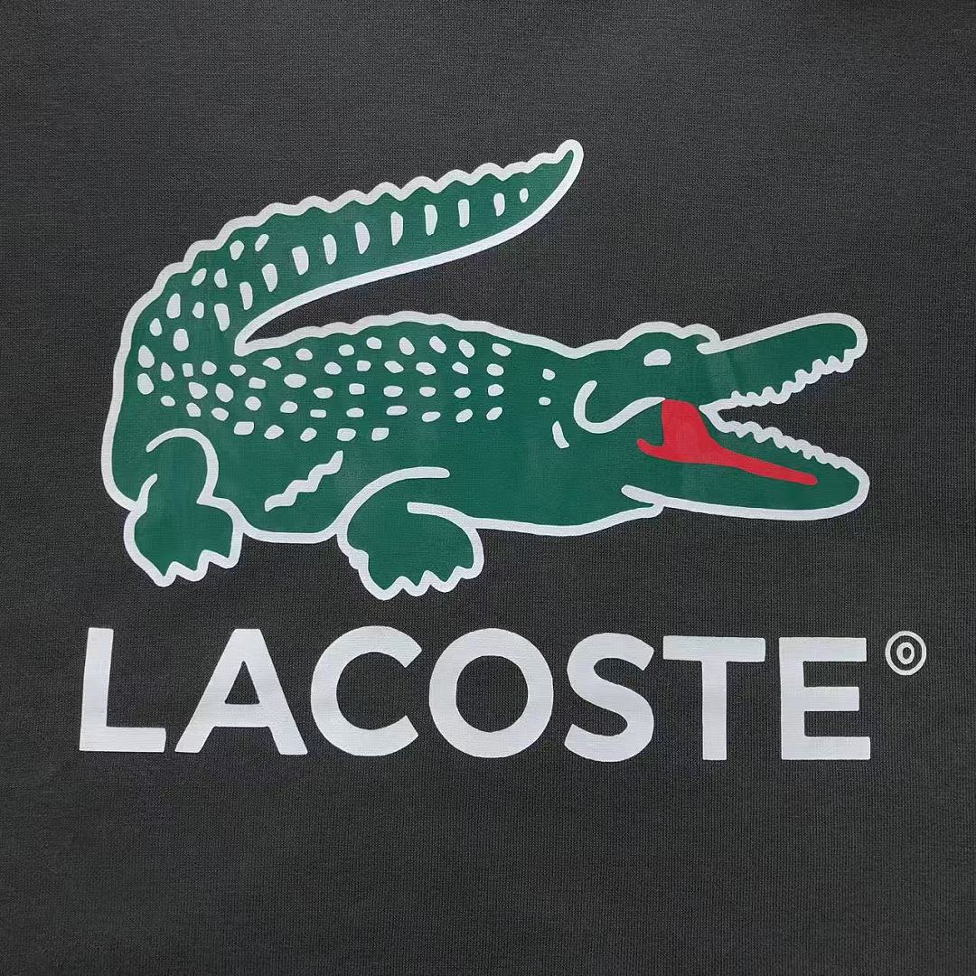 Lacoste 168 LACOSTE HOODIE 2208010304 (Im 170Cm 60Kg I Wear Size XL In The Phot) - Image 15