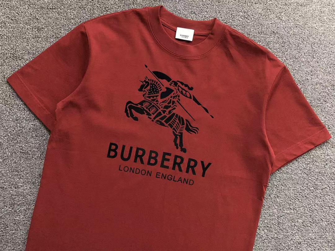Burberry 115 B⭐R⭐E⭐RY T-SHIRT 413310521 (Im 170Cm 60Kg I Wear Size M In The Phot) - Image 20