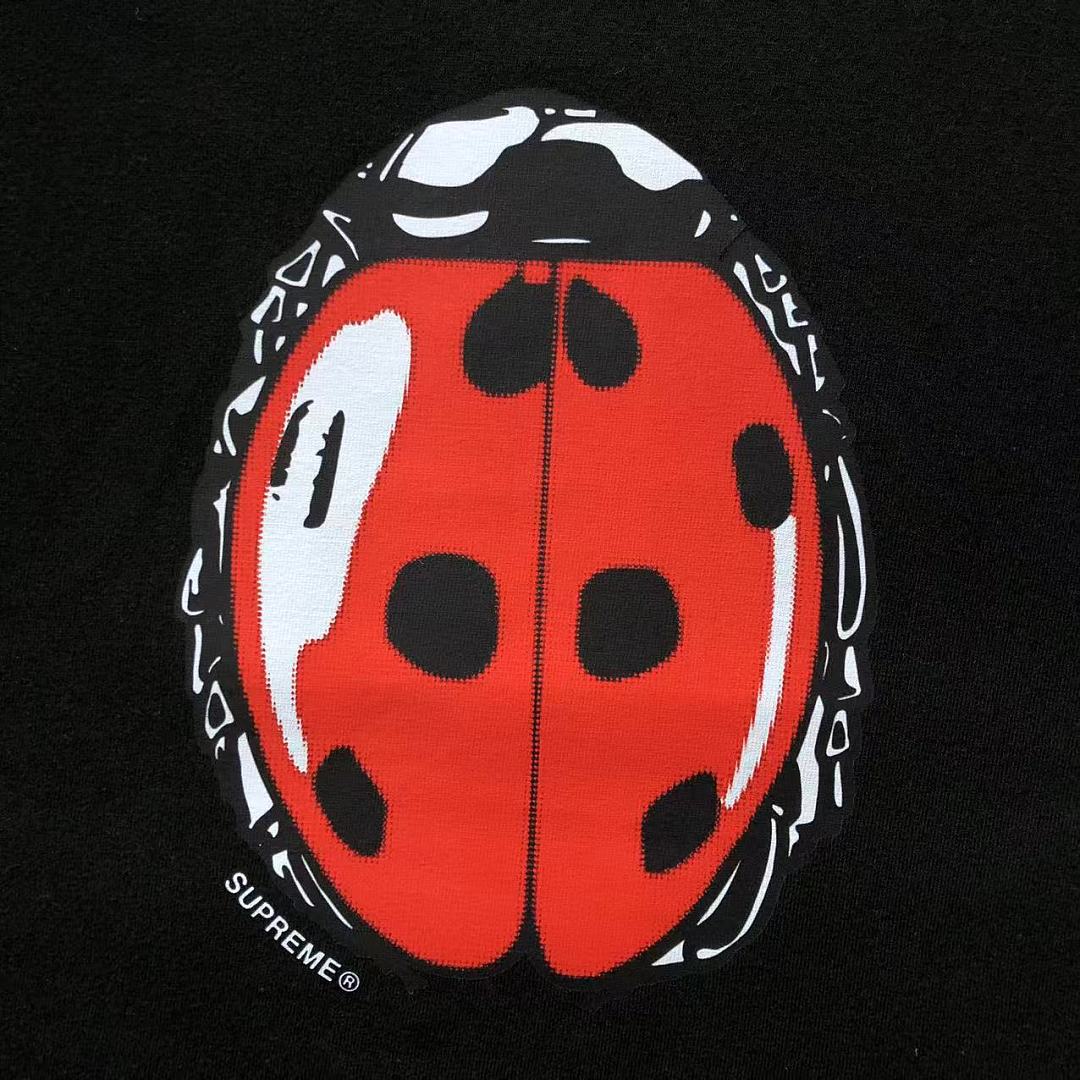 Supreme 98 S⭐⭐R⭐⭐E T-SHIRT 4207211302 (Im 170Cm 60Kg I Wear Size M In The Phot) - Image 25