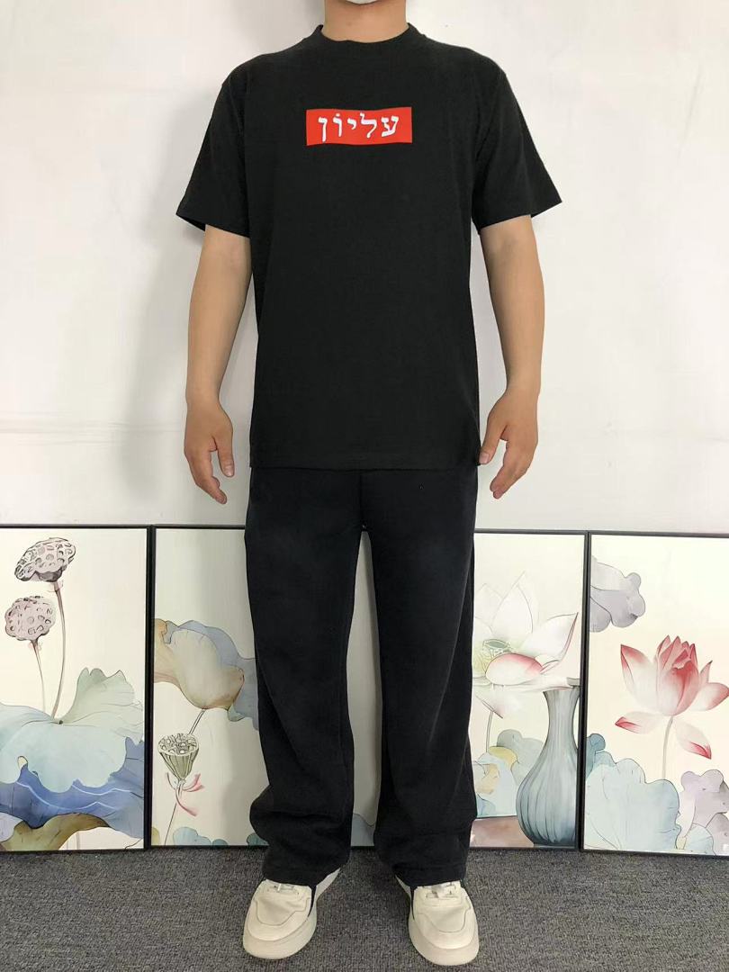 Supreme 95 S⭐⭐R⭐⭐E T-SHIRT 123120602 (Im 170Cm 60Kg I Wear Size M In The Phot) - Image 3