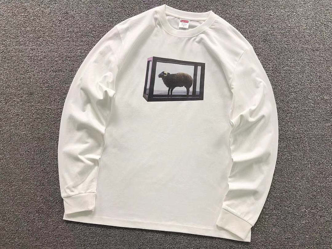 Supreme 95 S⭐⭐R⭐⭐E LONG SLEEVED 581211123 (Im 170Cm 60Kg I Wear Size M In The Phot) - Image 7