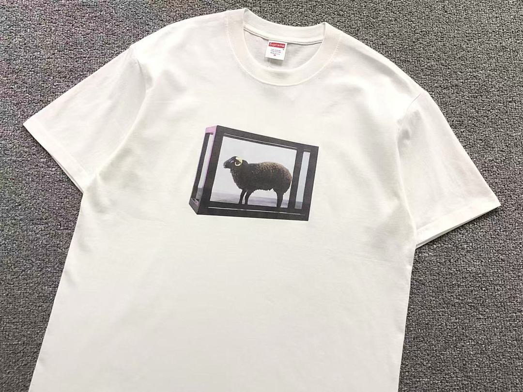 Supreme 78 S⭐⭐R⭐⭐E T-SHIRT 41061015123 (Im 170Cm 60Kg I Wear Size M In The Phot) - Image 11