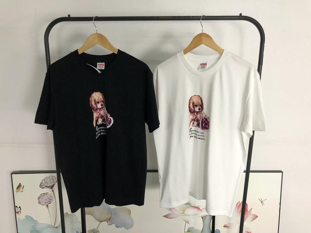 Supreme 98 S⭐⭐R⭐⭐E T-SHIRT 3205152233 (Im 170Cm 60Kg I Wear Size M In The Phot) - Image 25
