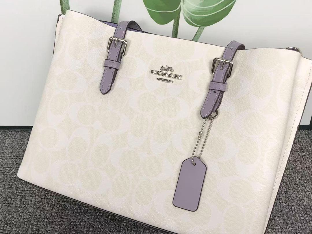 Coach 228 C⭐A⭐H BAG 4111150175 (Long 27CM* Wide 10CM*19CM) - Image 16