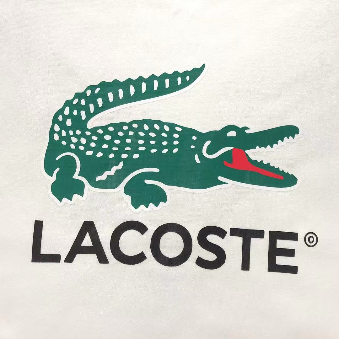 Lacoste 168 LACOSTE HOODIE 2208010304 (Im 170Cm 60Kg I Wear Size XL In The Phot) - Image 9