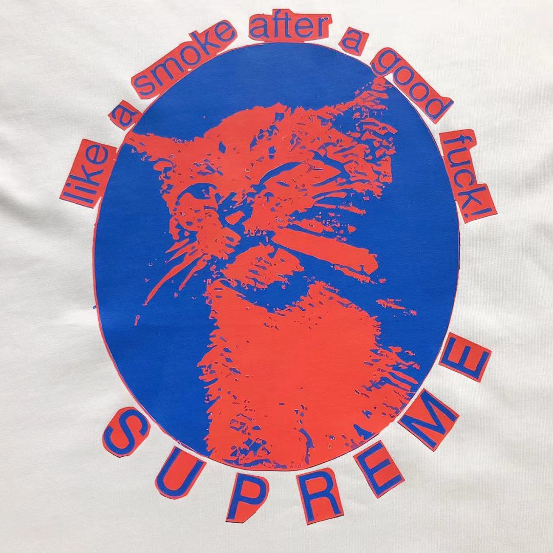 Supreme 88 S⭐⭐R⭐⭐E T-SHIRT 4105200821 (Im 170Cm 60Kg I Wear Size M In The Phot) - Image 9