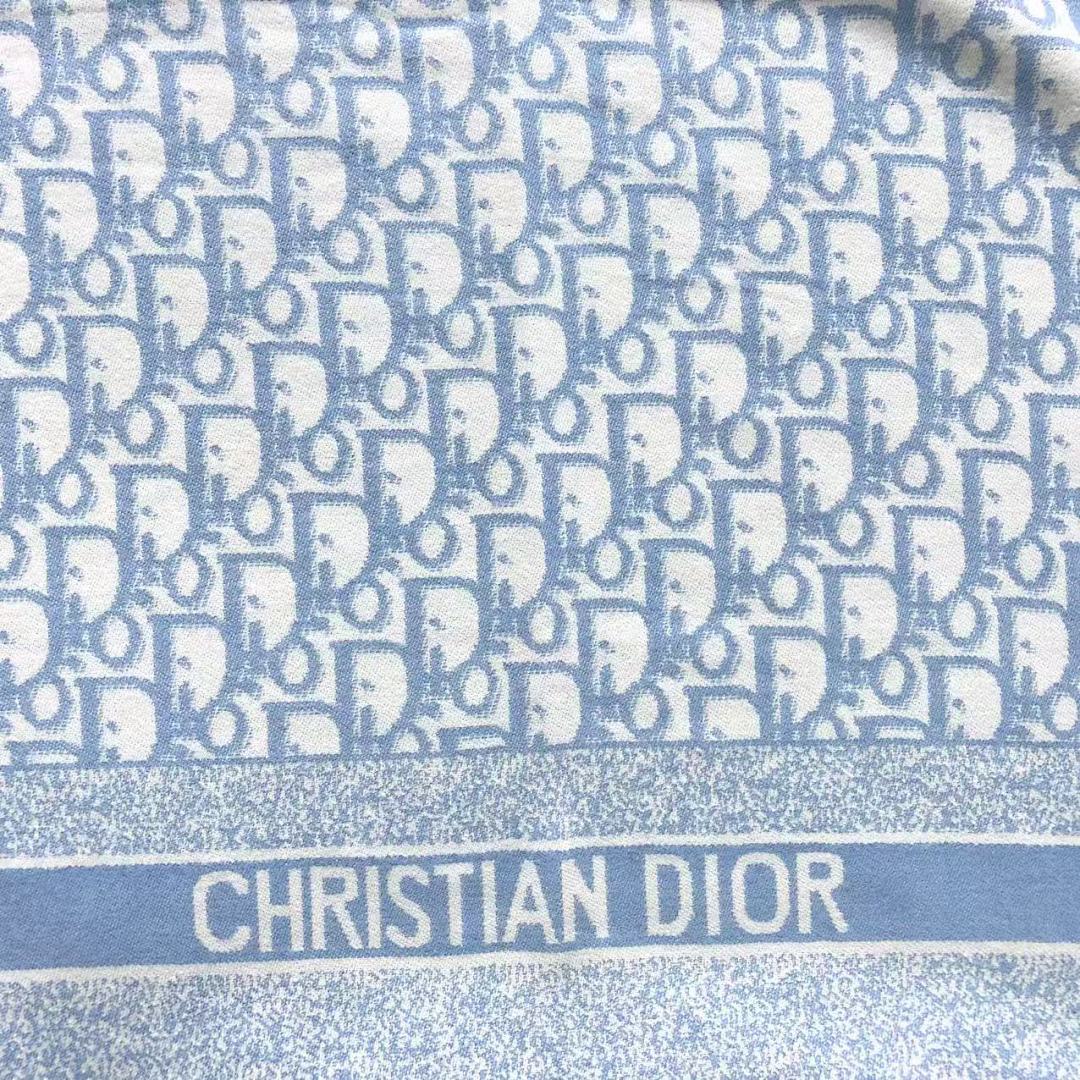 Dior 95 D⭐O⭐ SCARF 560426102 (Long 174CM* Wide 67CM*) - Image 11