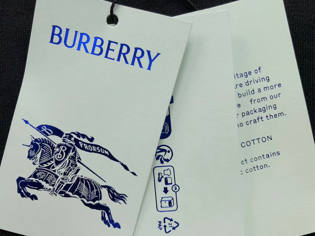 Burberry 118 B⭐R⭐E⭐RY HOODIE 510201581 (Im 170Cm 60Kg I Wear Size S In The Phot) - Image 22