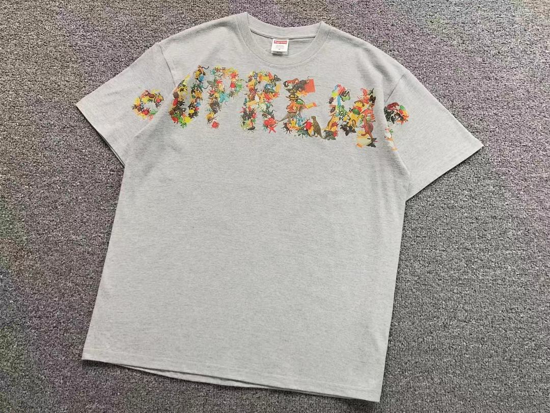 Supreme 115 S⭐⭐R⭐⭐E T-SHIRT 4203182177 (Im 170Cm 60Kg I Wear Size M In The Phot) - Image 10