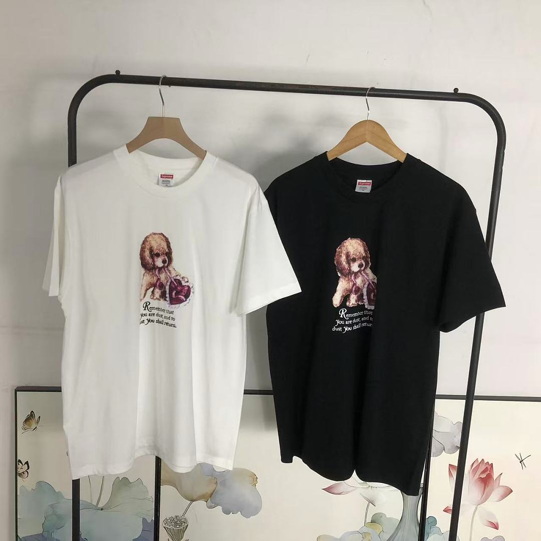 Supreme 113 S⭐⭐R⭐⭐E T-SHIRT 42080401182 (Im 170Cm 60Kg I Wear Size M In The Phot) - Image 23