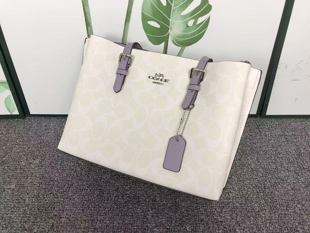 Coach 228 C⭐A⭐H BAG 4111150175 (Long 27CM* Wide 10CM*19CM) - Image 15