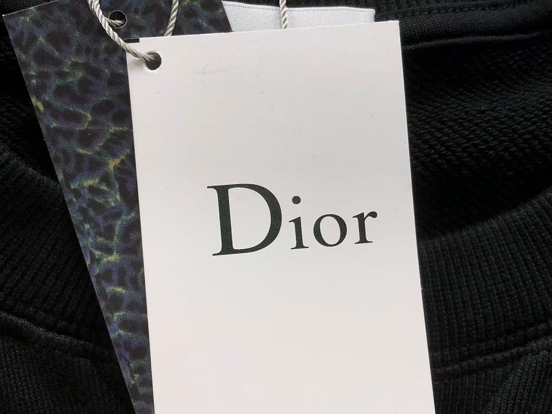 Dior 178 D⭐O⭐ HOODIE 3208062321 (Im 170Cm 60Kg I Wear Size L In The Phot) - Image 19