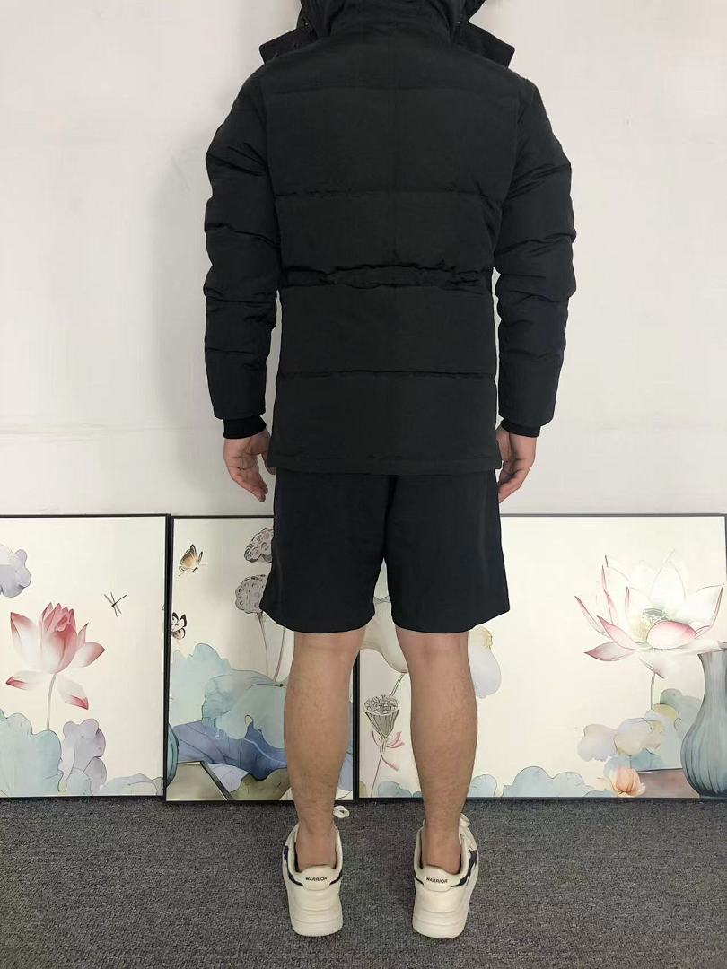 Canada Goose 558 C⭐N⭐⭐A G⭐⭐⭐E DOWN JACKETS 4111130315 (Im 170Cm 60Kg I Wear Size S In The Phot) - Image 6