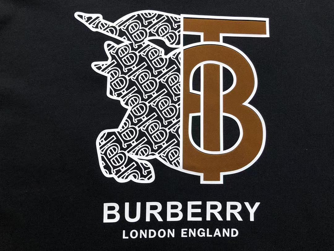 Burberry 125 B⭐R⭐E⭐RY T-SHIRT 121262860 (Im 170Cm 60Kg I Wear Size XL In The Phot) - Image 13