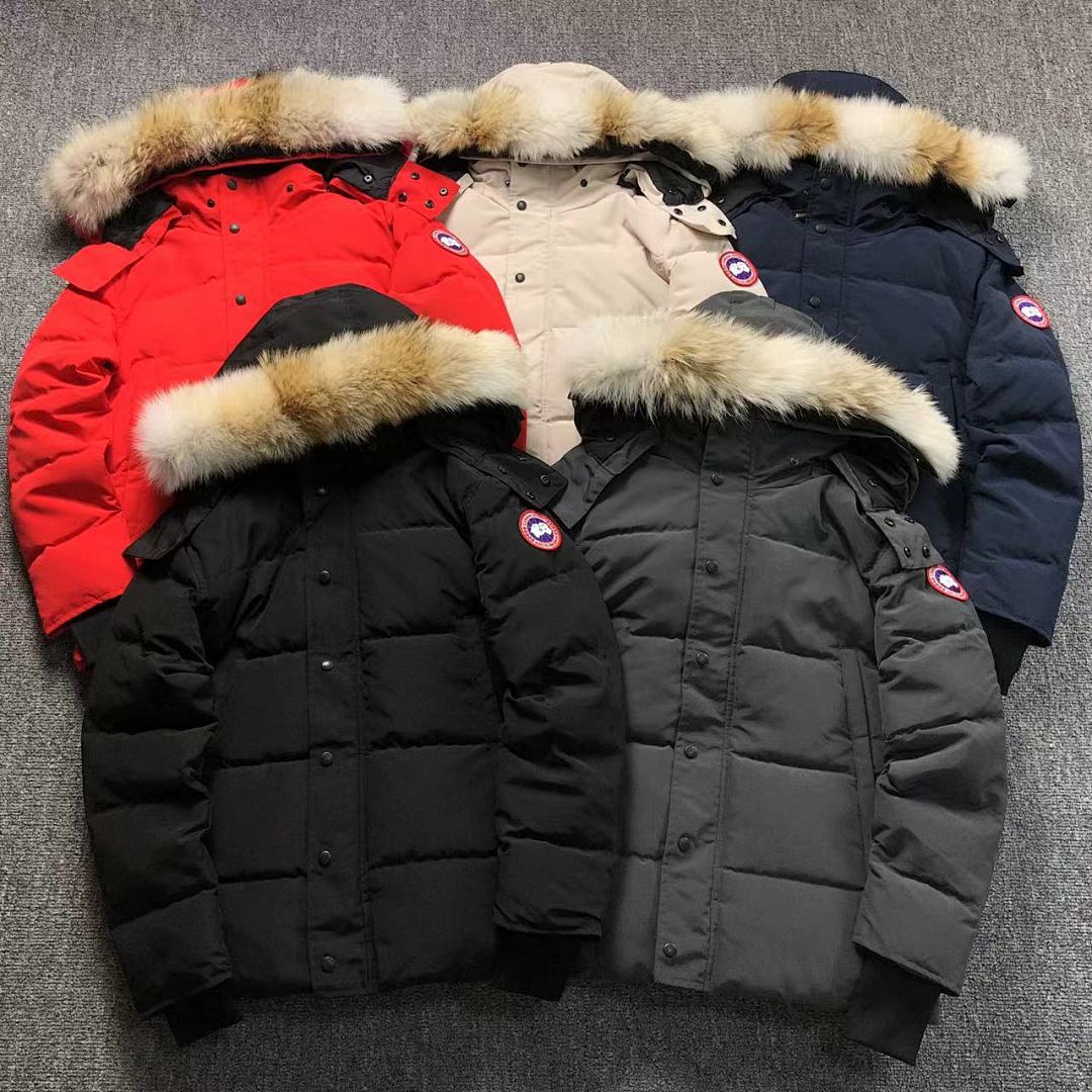 Canada Goose 568 C⭐N⭐⭐A G⭐⭐⭐E DOWN JACKETS 281208 (Im 170Cm 57Kg I Wear Size M In The Phot), photo 1