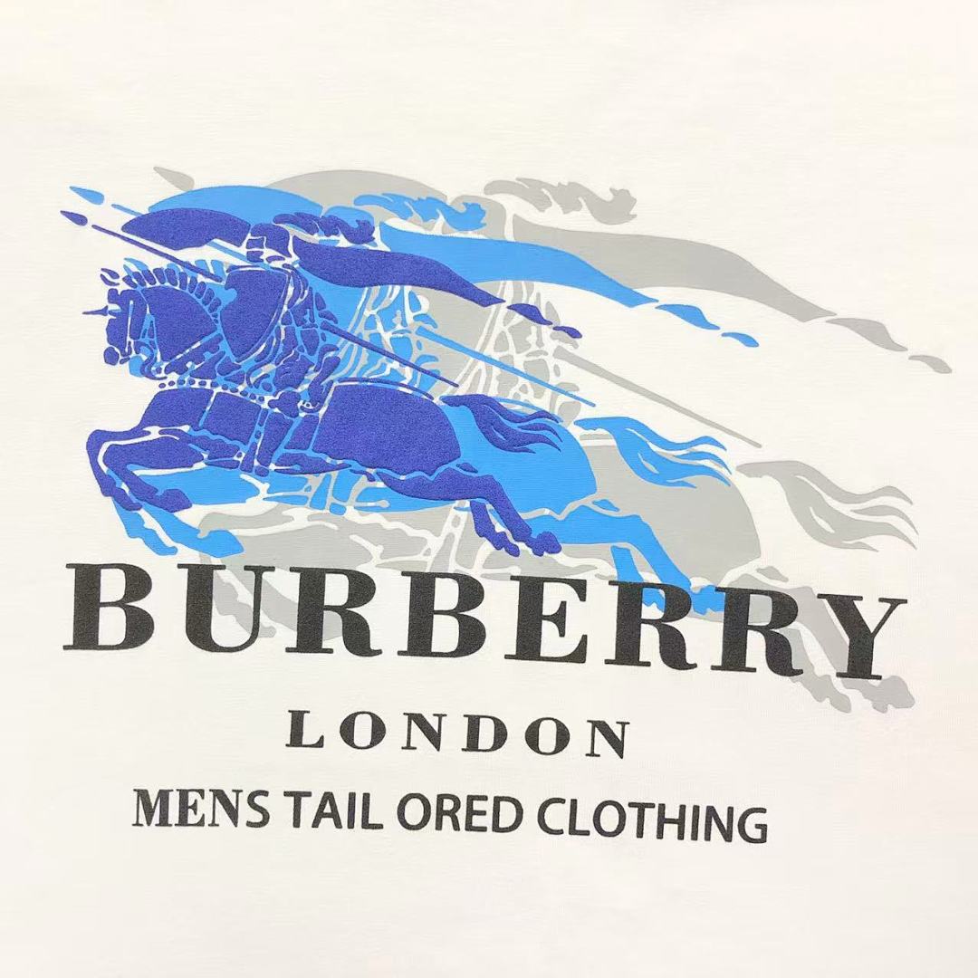 Burberry 95 B⭐R⭐E⭐RY T-SHIRT 3201190303 (Im 170Cm 60Kg I Wear Size M In The Phot) - Image 15