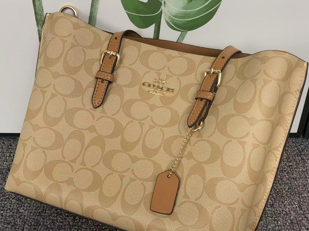 Coach 228 C⭐A⭐H BAG 4111150175 (Long 27CM* Wide 10CM*19CM) - Image 13