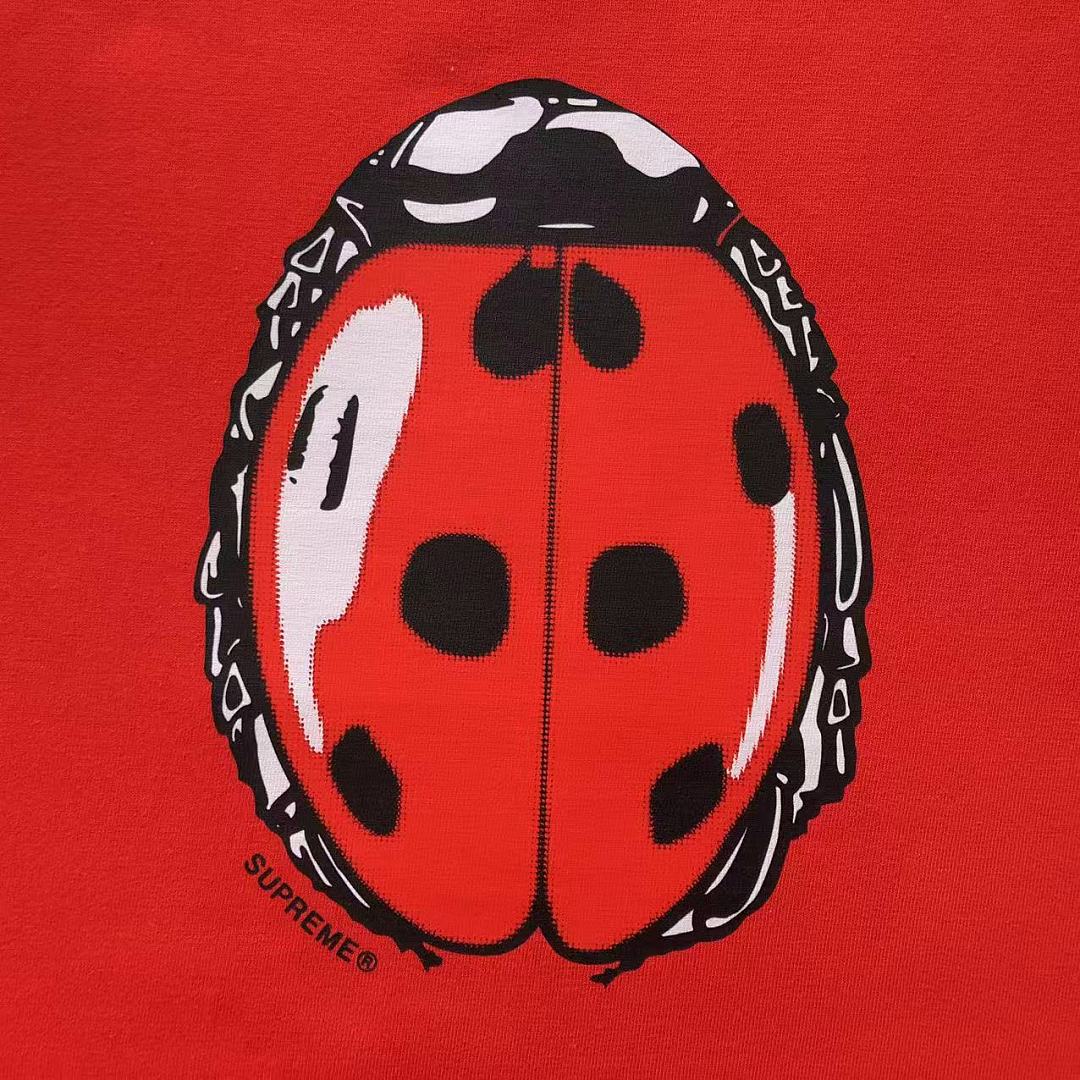 Supreme 98 S⭐⭐R⭐⭐E T-SHIRT 4207211302 (Im 170Cm 60Kg I Wear Size M In The Phot) - Image 12