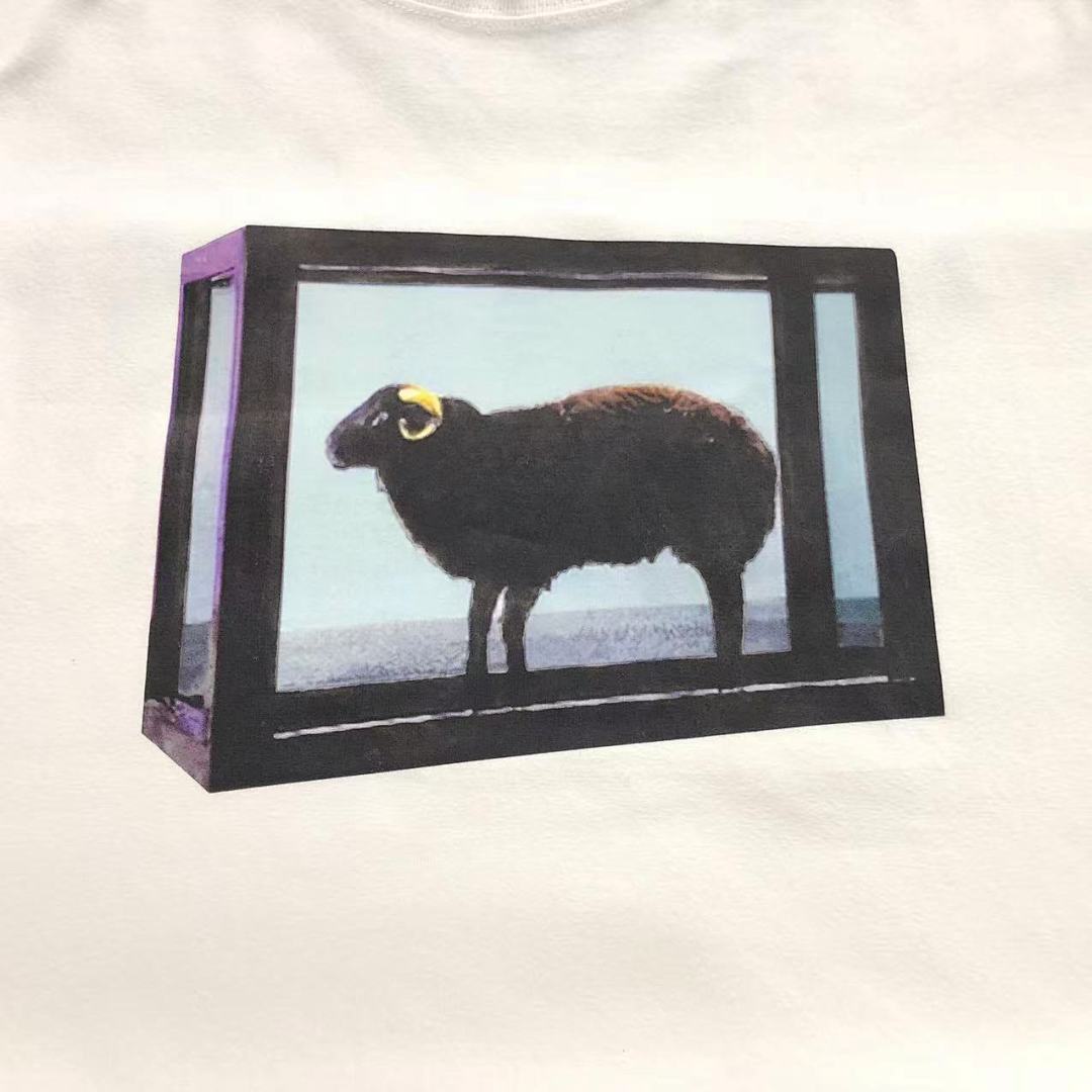 Supreme 95 S⭐⭐R⭐⭐E T-SHIRT 123122002 (Im 170Cm 60Kg I Wear Size M In The Phot) - Image 9