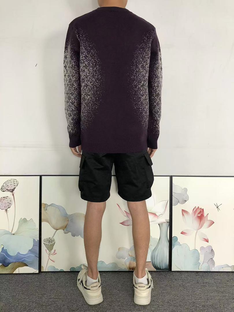 Louis Vuitton 208 L⭐ SWEATER 3208160421 (Im 170Cm 60Kg I Wear Size L In The Phot) - Image 4