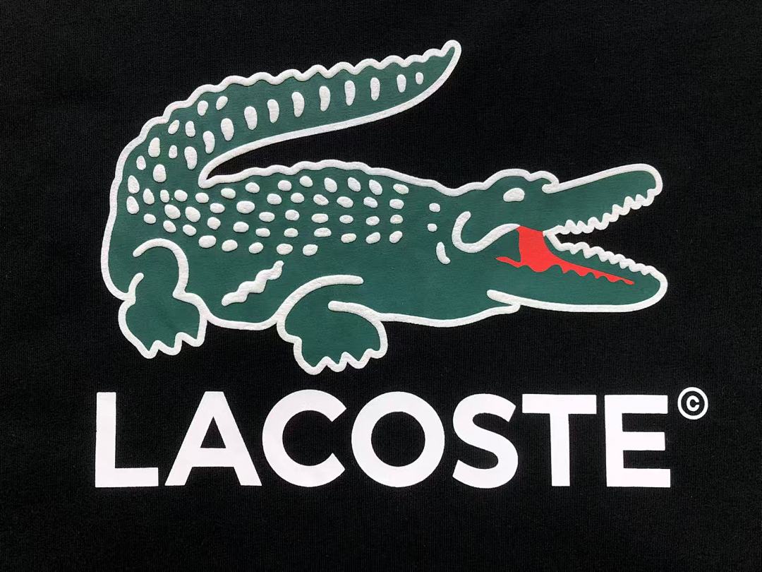 Lacoste 158 LACOSTE T-SHIRT 22040366001 (Im 170Cm 60Kg I Wear Size L In The Phot) - Image 13