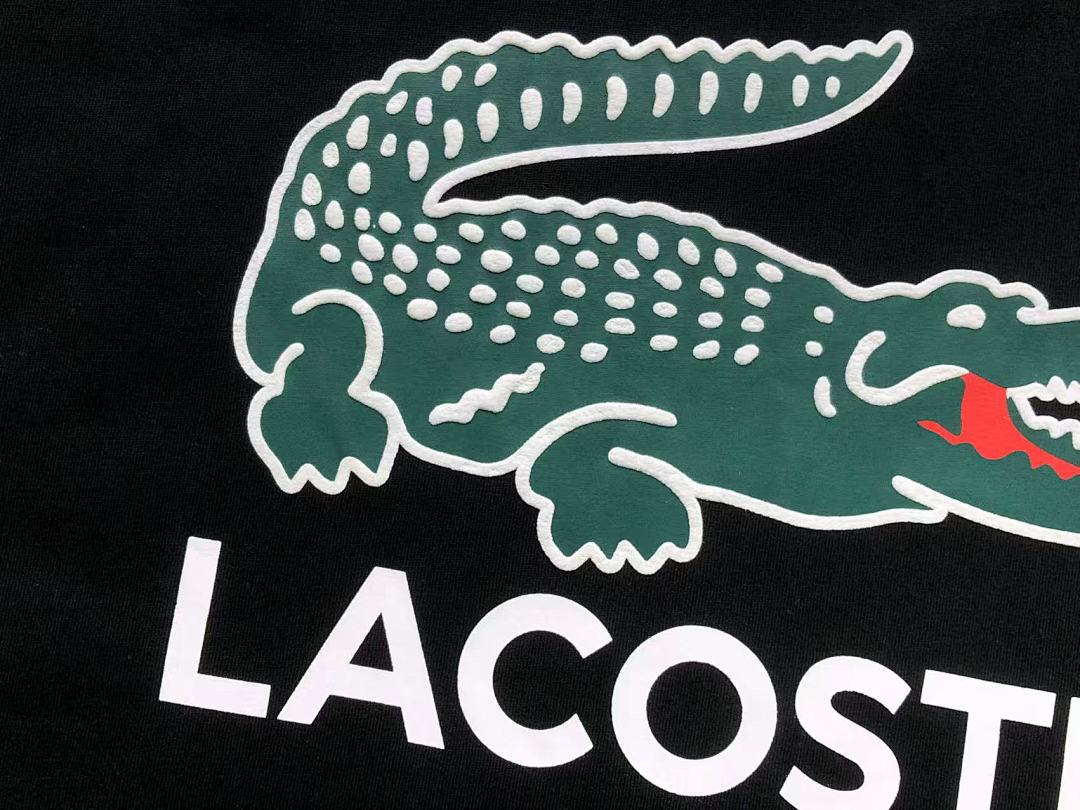 Lacoste 158 LACOSTE T-SHIRT 22040366001 (Im 170Cm 60Kg I Wear Size L In The Phot) - Image 14