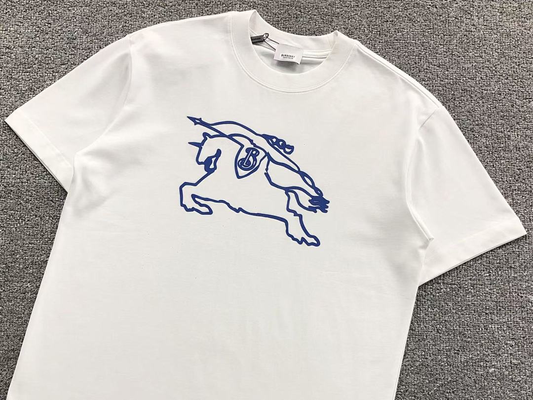Burberry 115 B⭐R⭐E⭐RY T-SHIRT 503163621 (Im 170Cm 60Kg I Wear Size M In The Phot) - Image 8