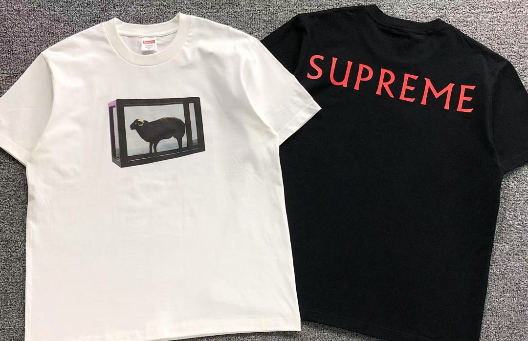 Supreme 108 S⭐⭐R⭐⭐E T-SHIRT 214174733 (Im 170Cm 60Kg I Wear Size M In The Phot) - Image 6