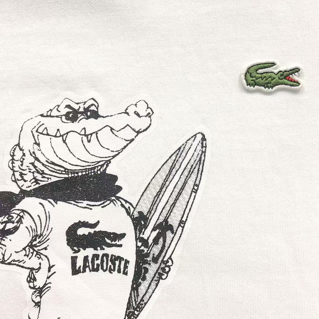 Lacoste 108 LACOSTE T-SHIRT 1104050108 (Im 170Cm 60Kg I Wear Size S In The Phot) - Image 16