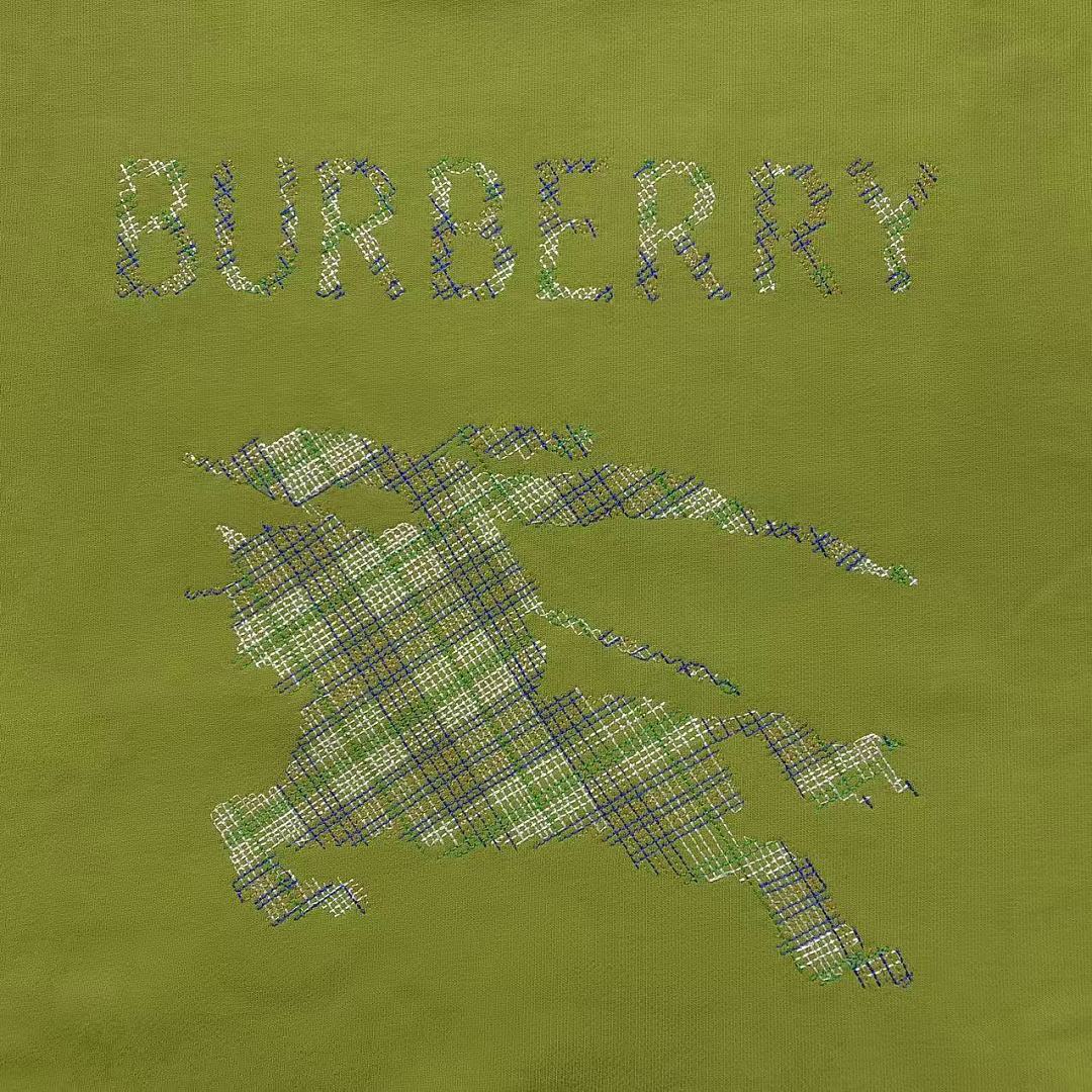 Burberry 178 B⭐R⭐E⭐RY HOODIE 3209071721 (Im 170Cm 60Kg I Wear Size L In The Phot) - Image 14